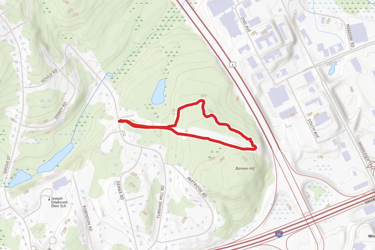 Scout Trail, Extra Credit, and Powerline Loop