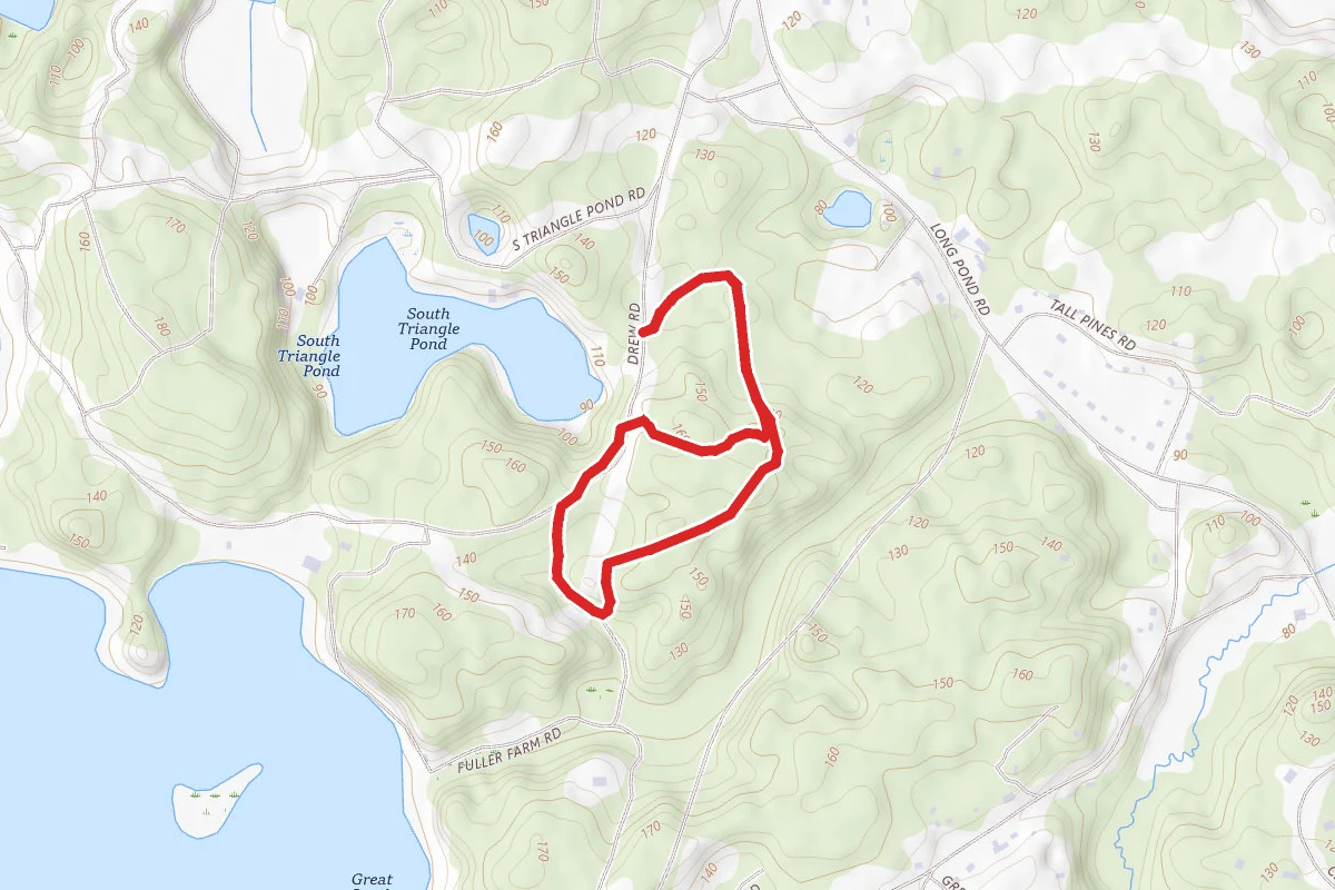 South Triangle Pond Conservation Area Trail