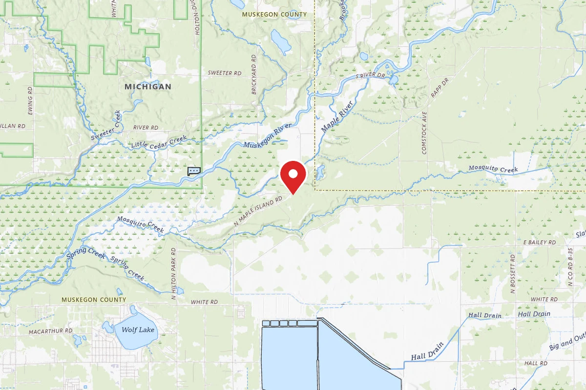 Mosquito Creek