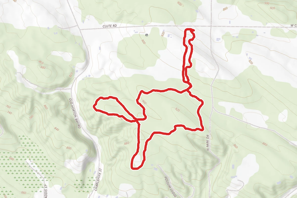 Hill Nature Trail