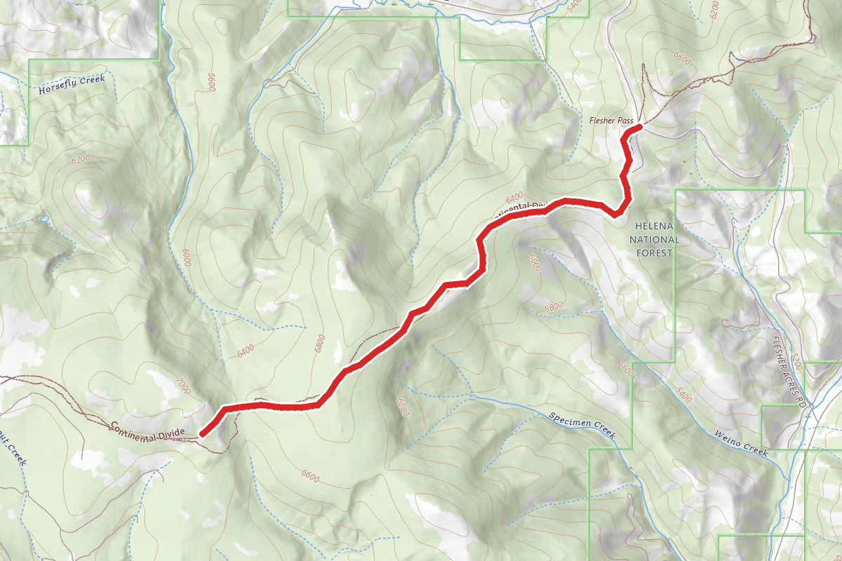 Flesher Pass Trail