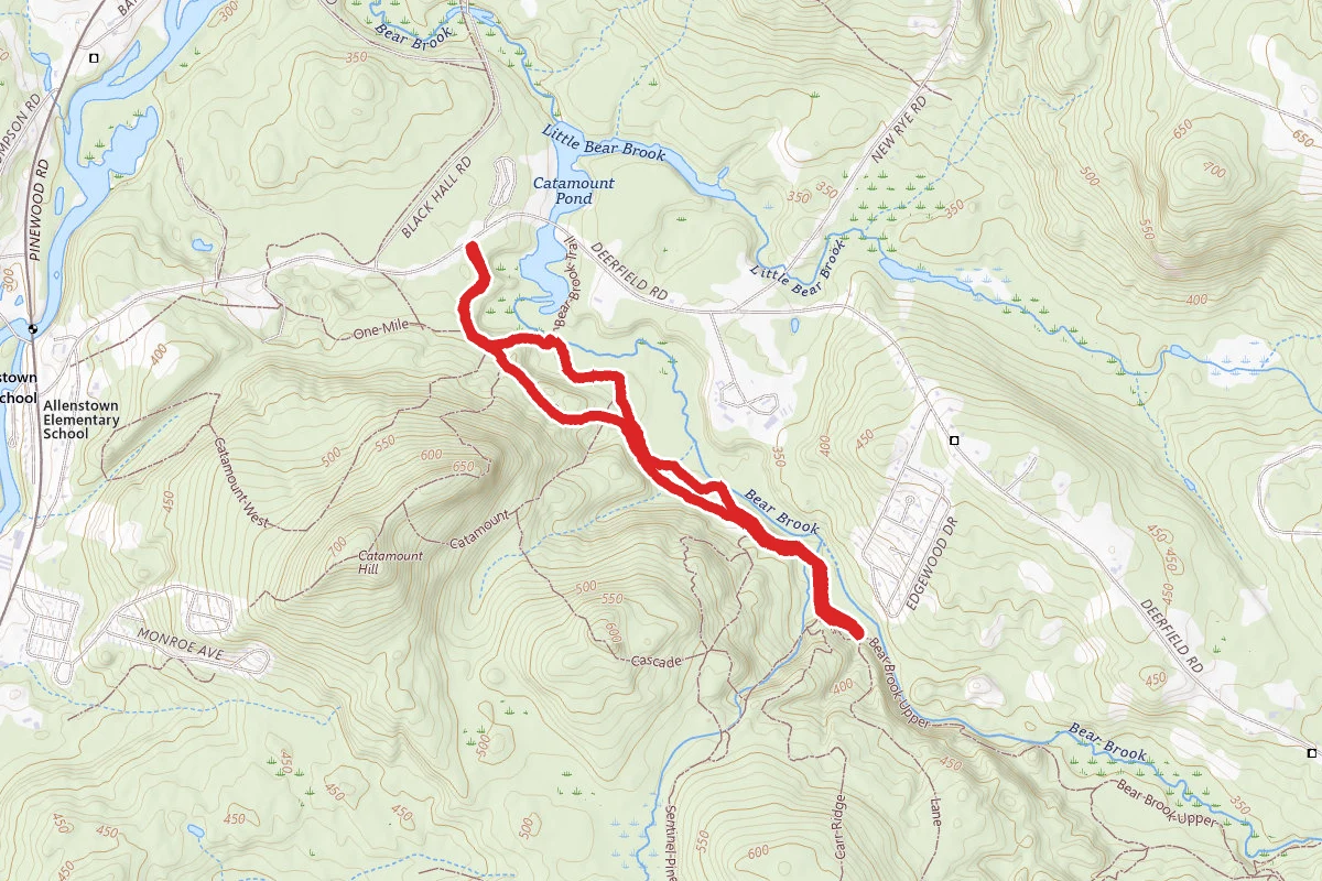 One Mile Trail and Bear Brook Lower