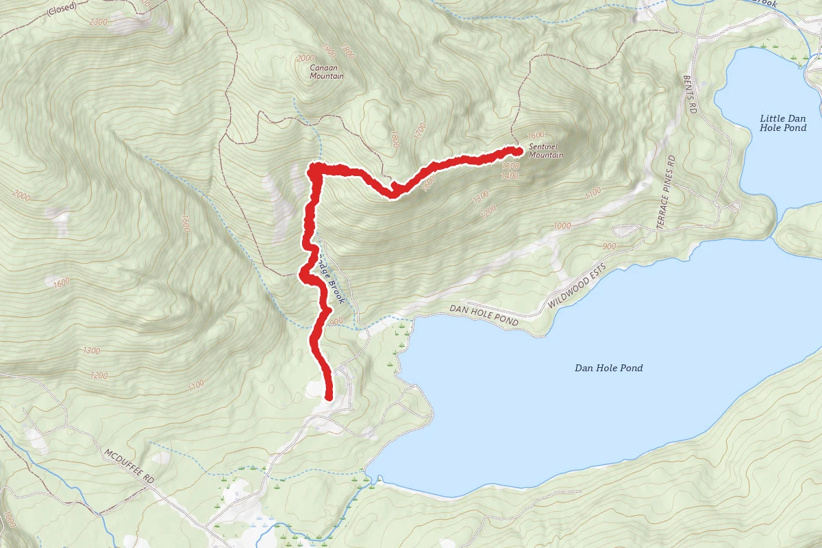 Sentinel Mountain via Gorilla, Dave Green and Connector Trail