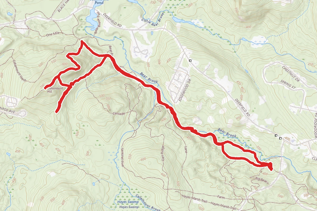 Catamount Hill via Bear Brook Upper Trail