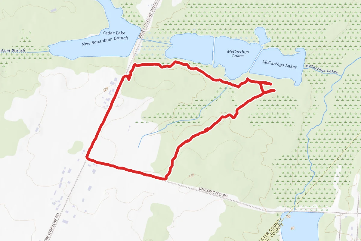 Piney Hollow Preservation and Unexpected Road