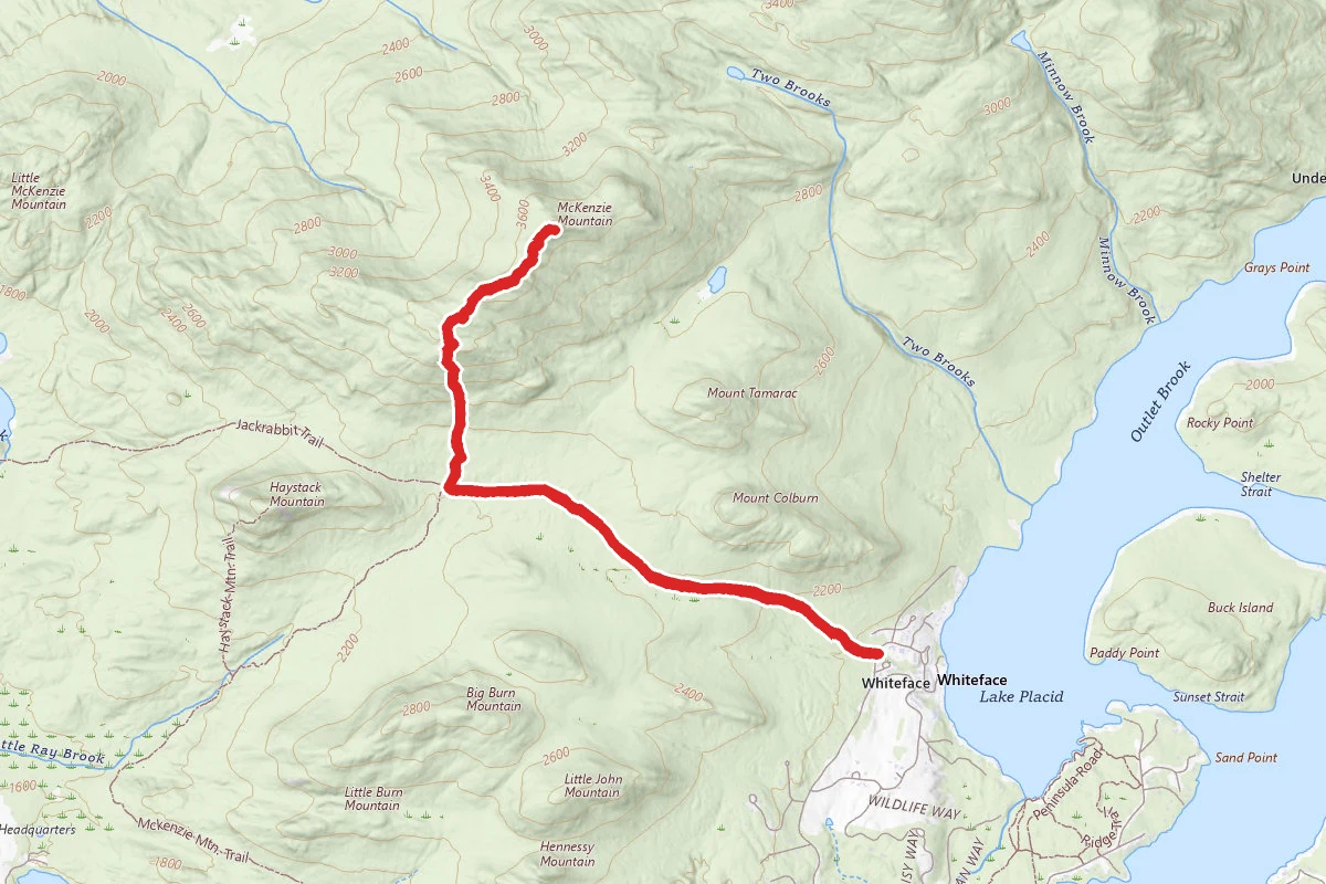 McKenzie Mountain via Jack Rabbit Trail
