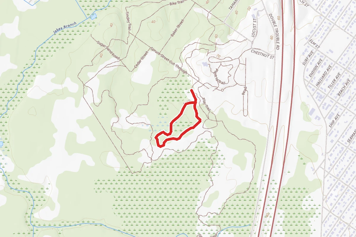 Interpretive Trail