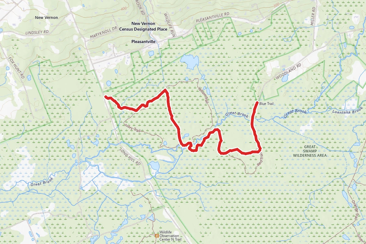 Great Swamp Blue Trail