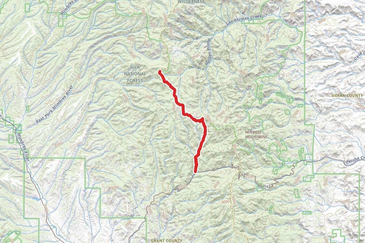 Black Range Crest Trail