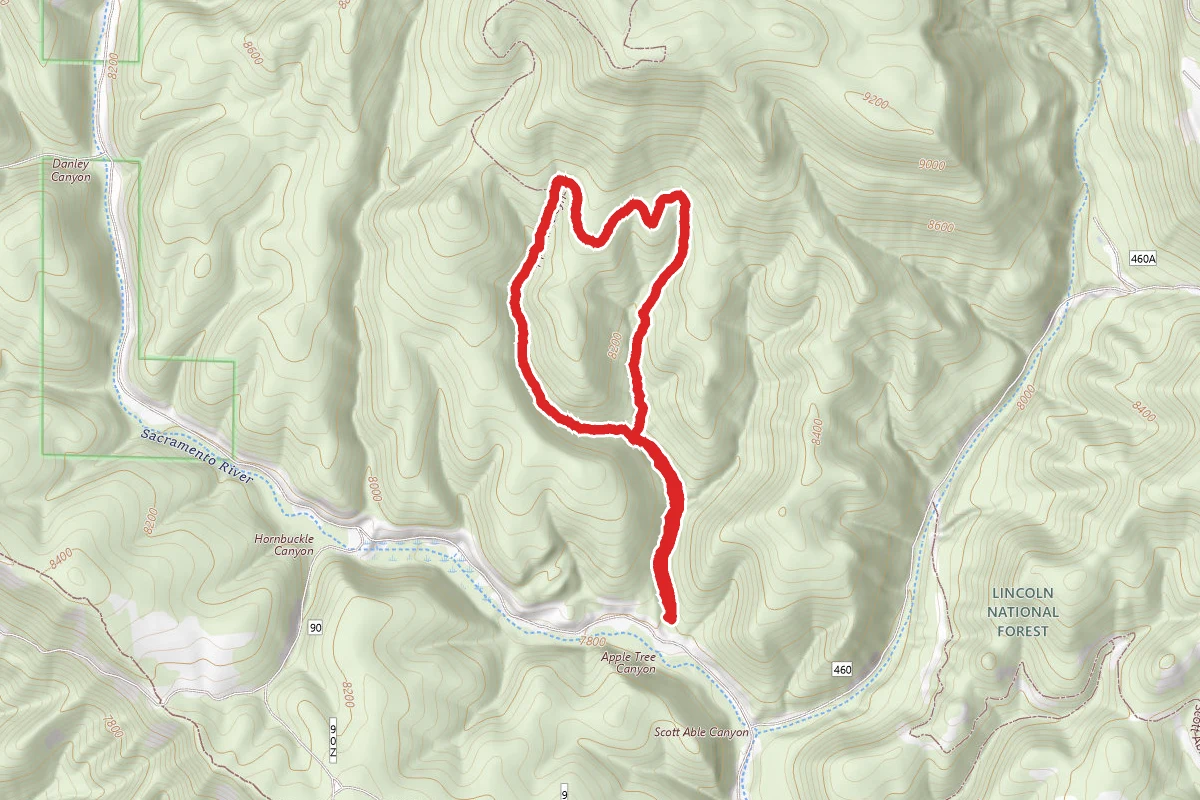 Apple Tree Canyon