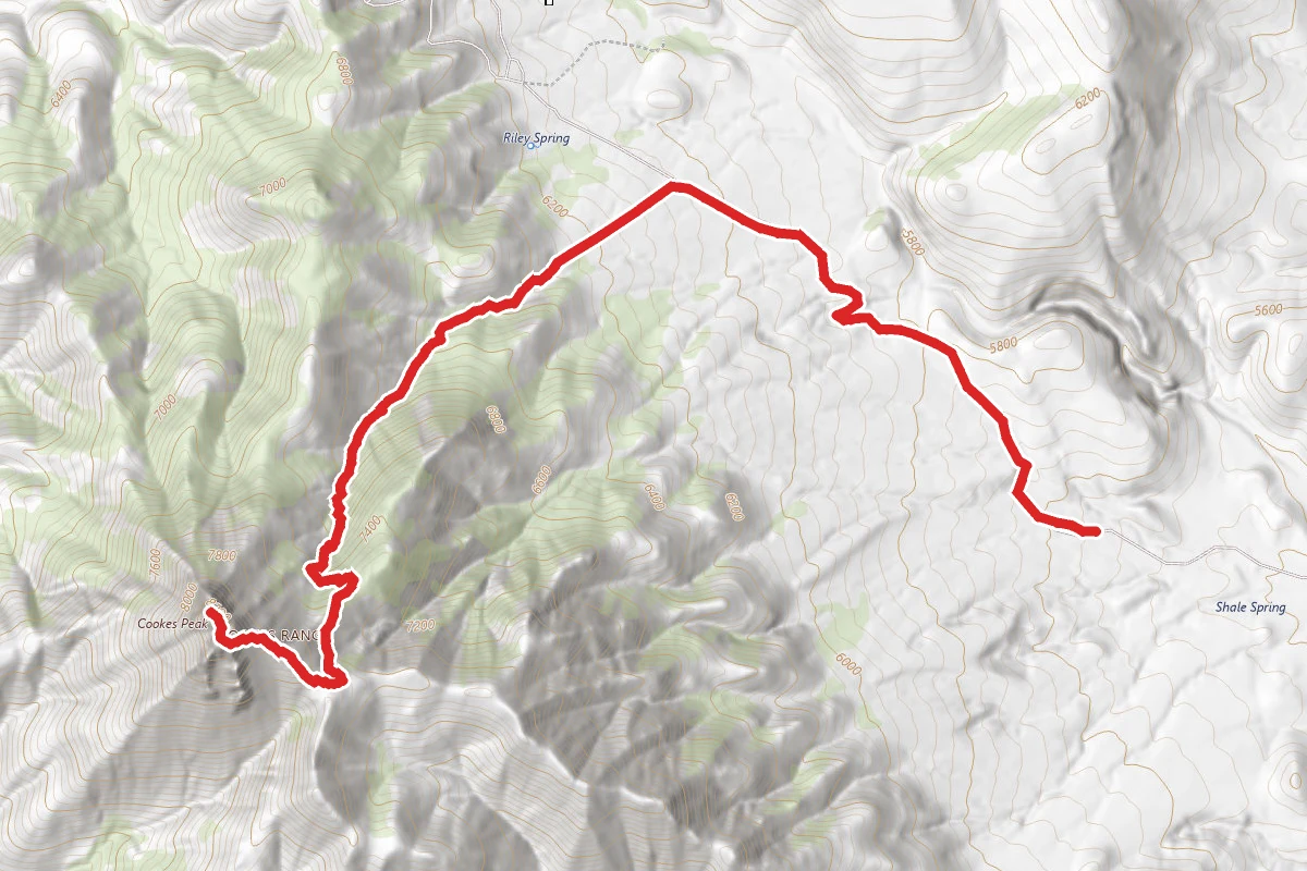 Cookes Peak Trail