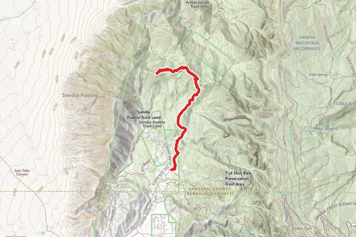 Peak 8304 via Piedra Lisa Trail #135