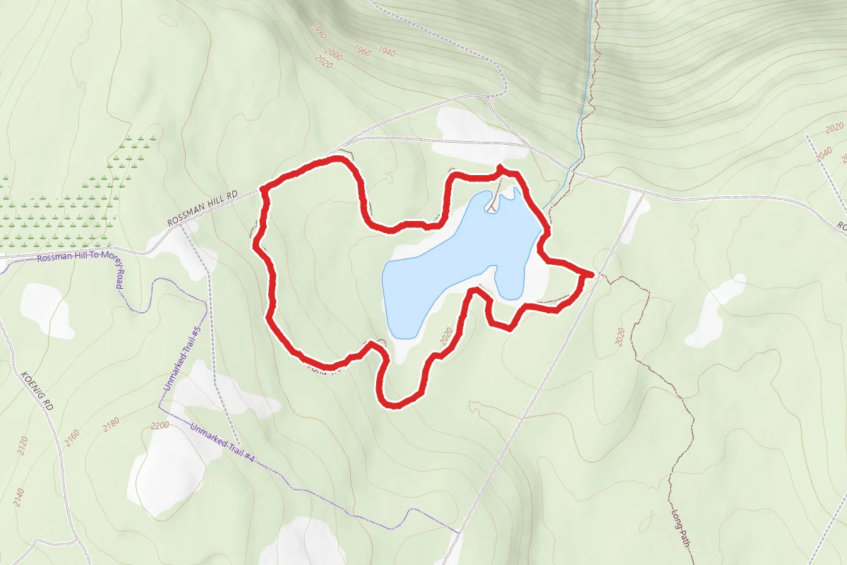 Rossman Hill Road and Yellow Trail Loop