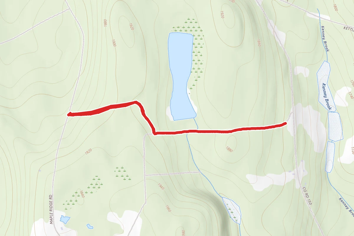 Heiberg Memorial Forest Trail