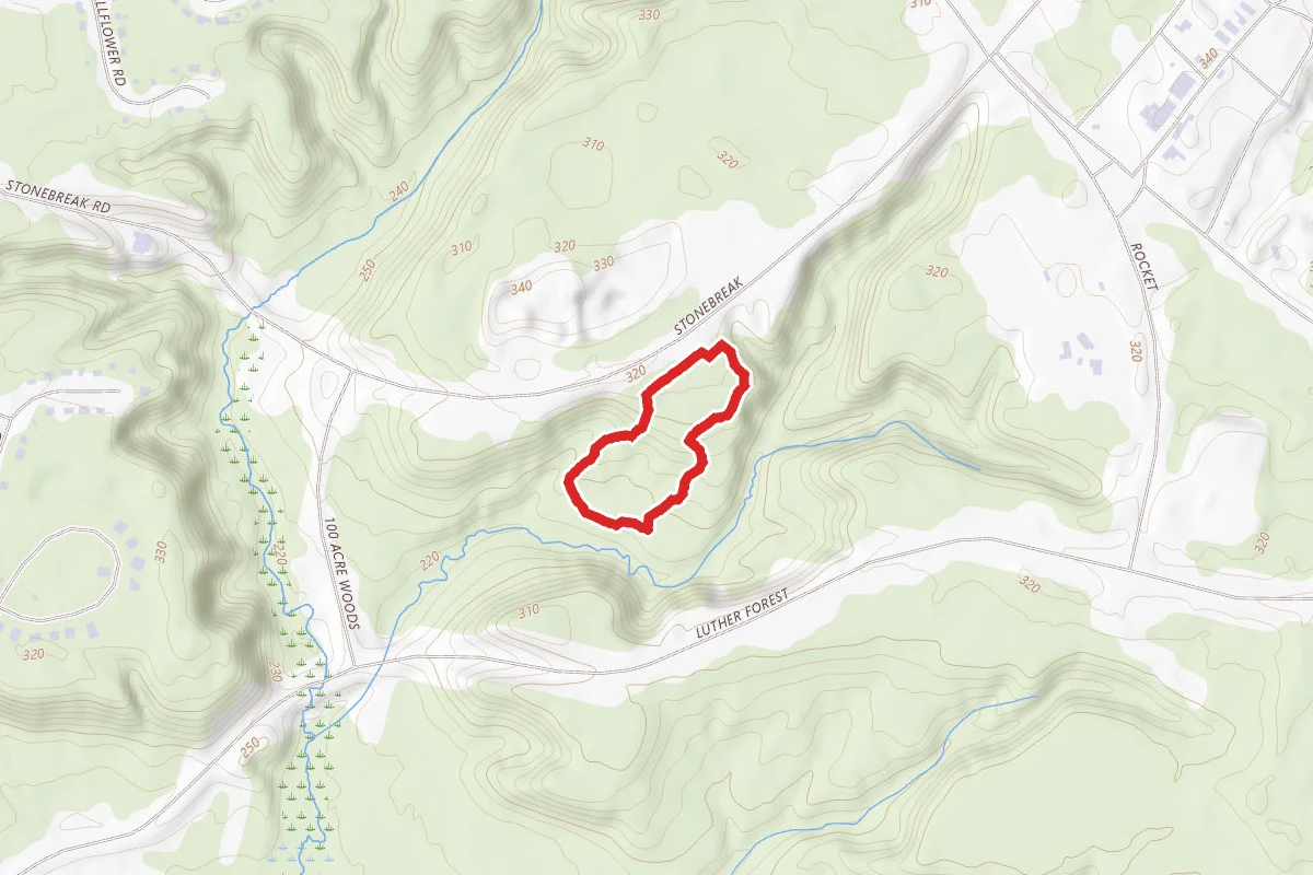 100 Acre Wood Blue Trail