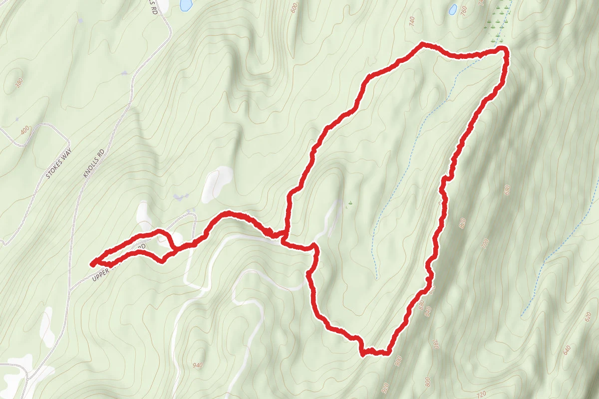 Spring Farm Northeast Trail Loop
