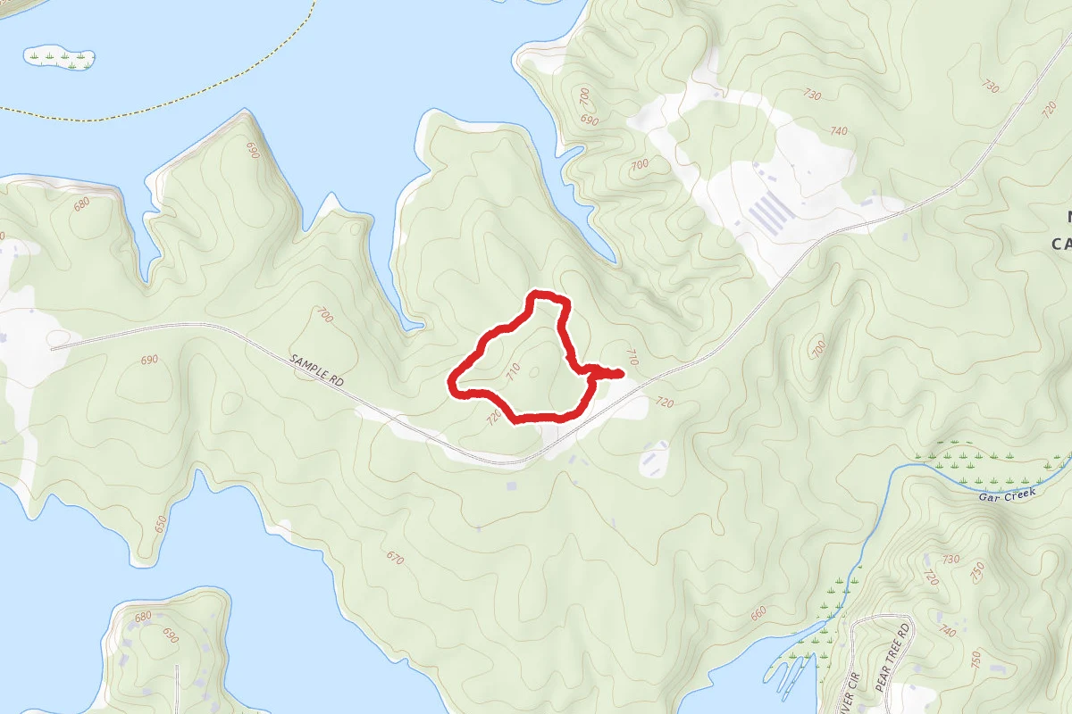 Treasure Tree Trail