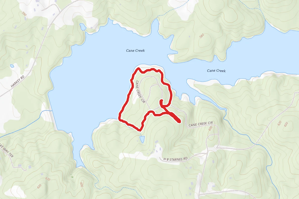 Cane Creek Yellow and Purple Loop