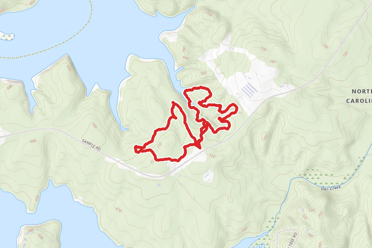 Treasure Tree and Beechwood Trail