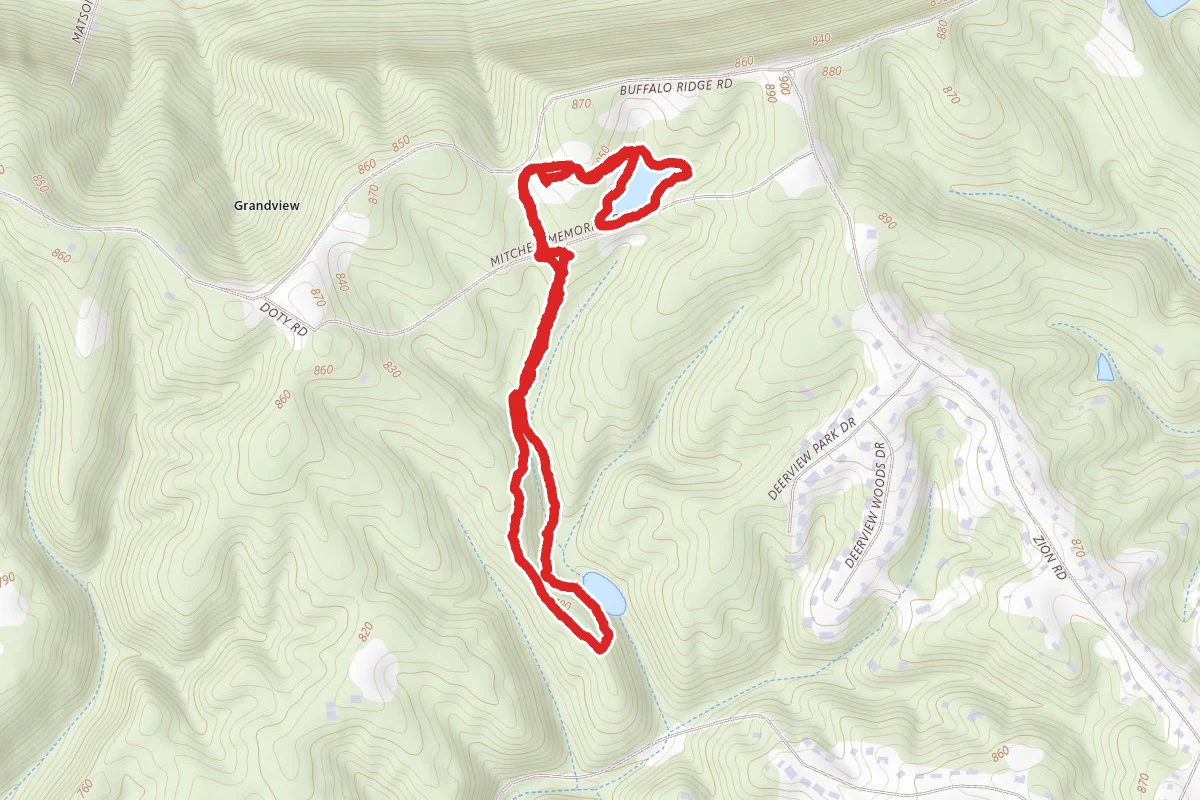 Wood Duck and Pond Loop
