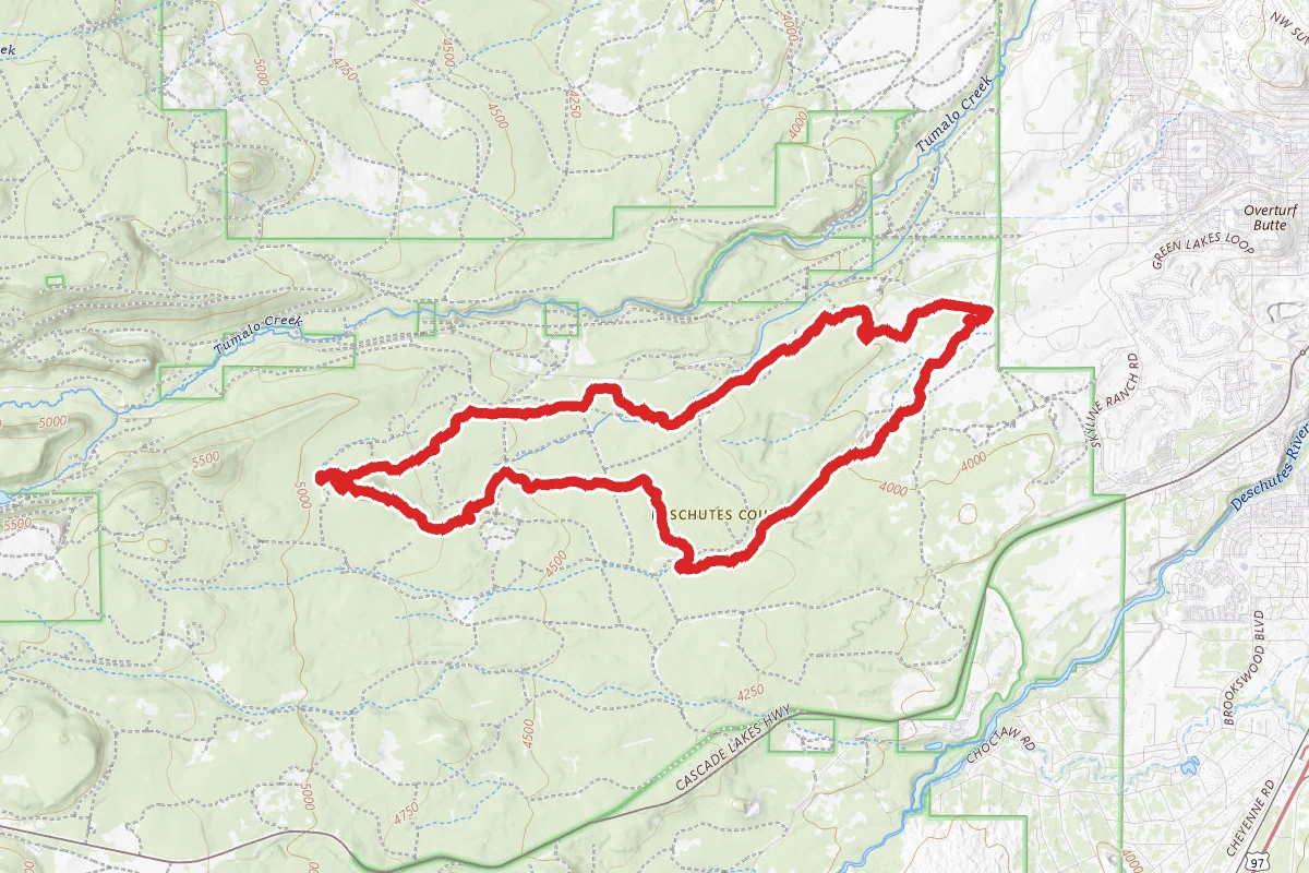 Phil's, Pinedrops and Ben's Trail