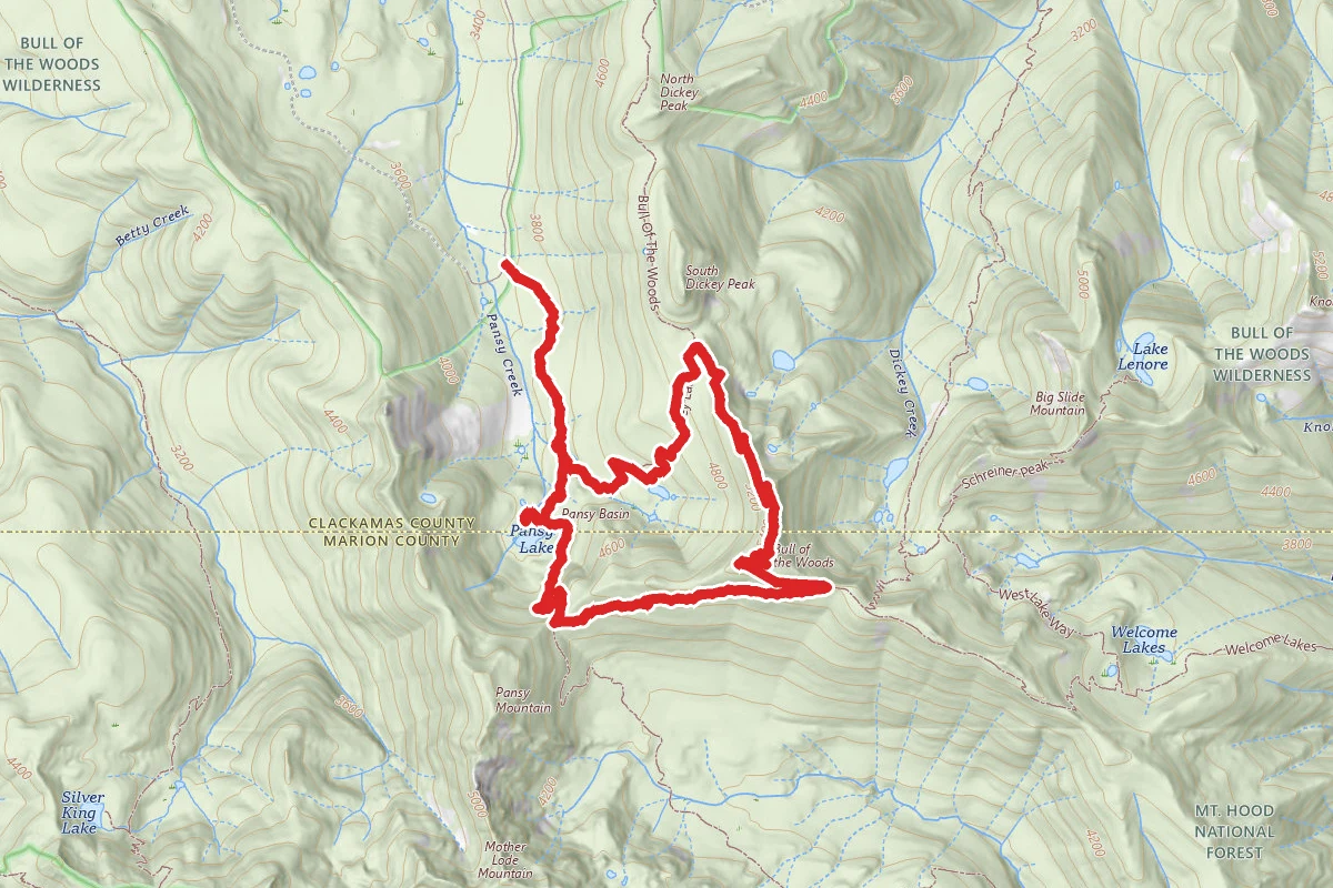 Pansy Lake, Dickey Lake, Bull of the Woods, Mother Lodge, Pansy Lake Loop