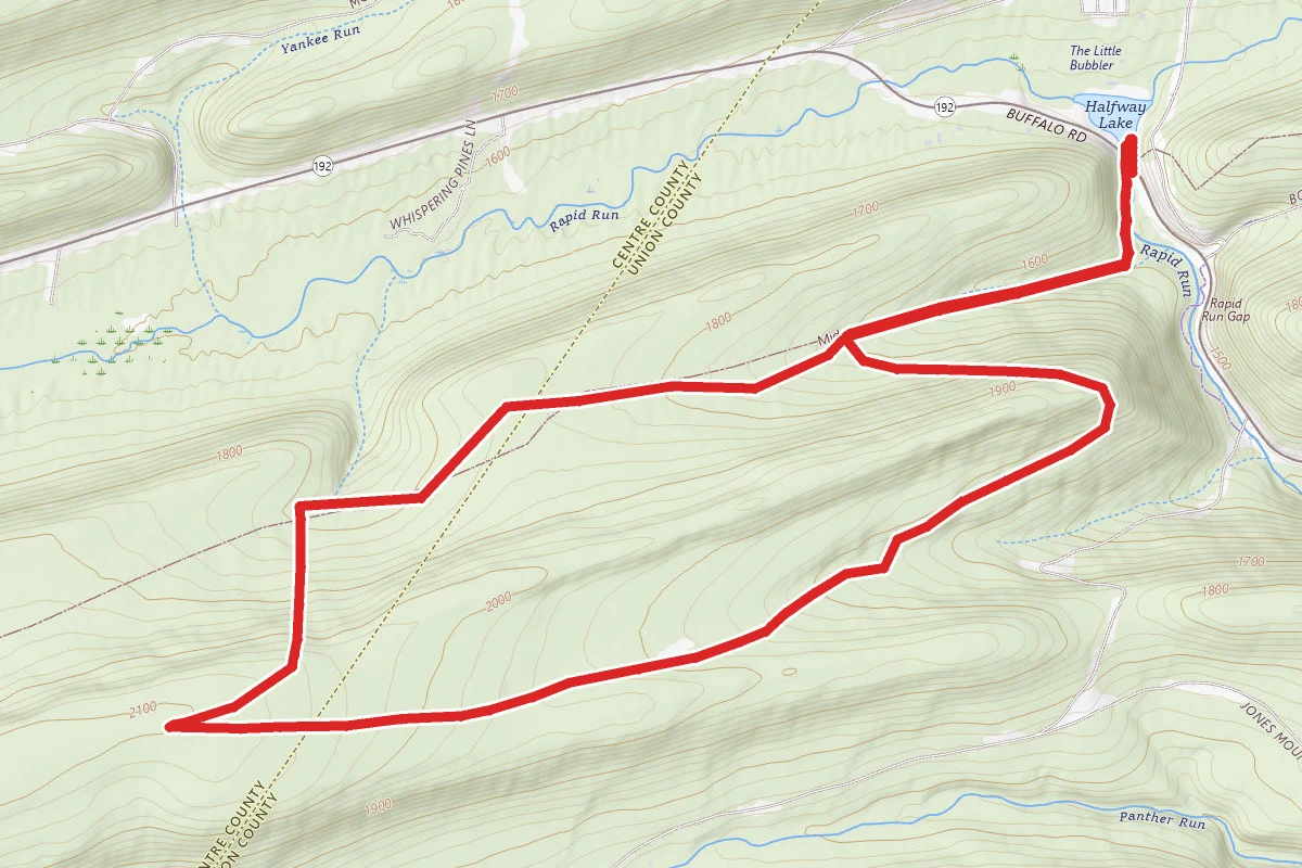 Mid State Trail, Old Tram Trail, Fallen Timber Trail, and East Trail