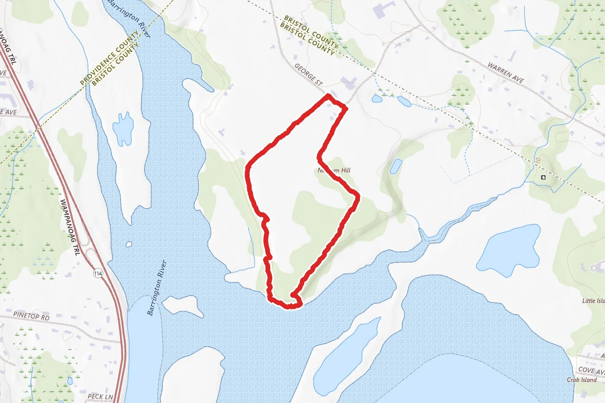 Nockum Hill via Woodland Trail Loop