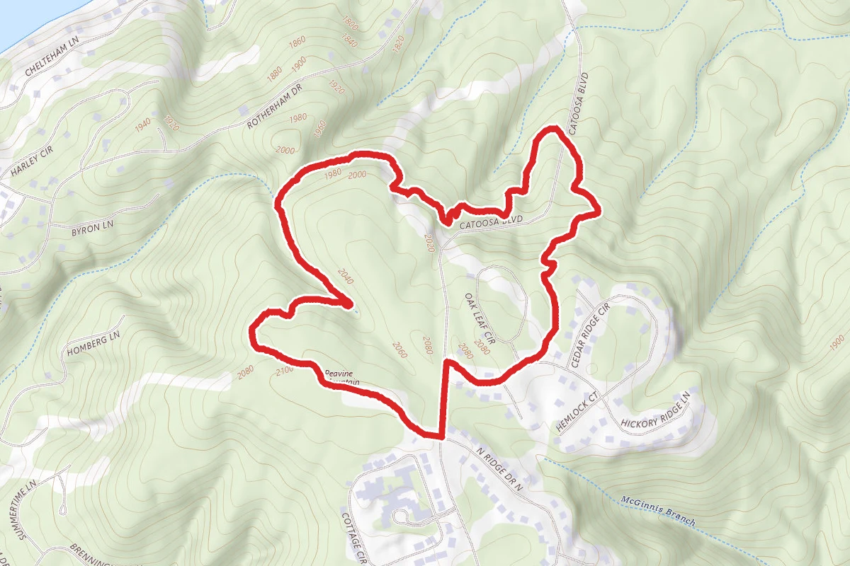 Fairfield Yellow Loop