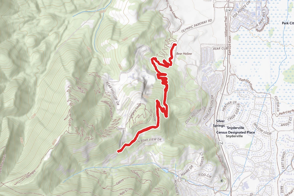 Iron Bill Trail