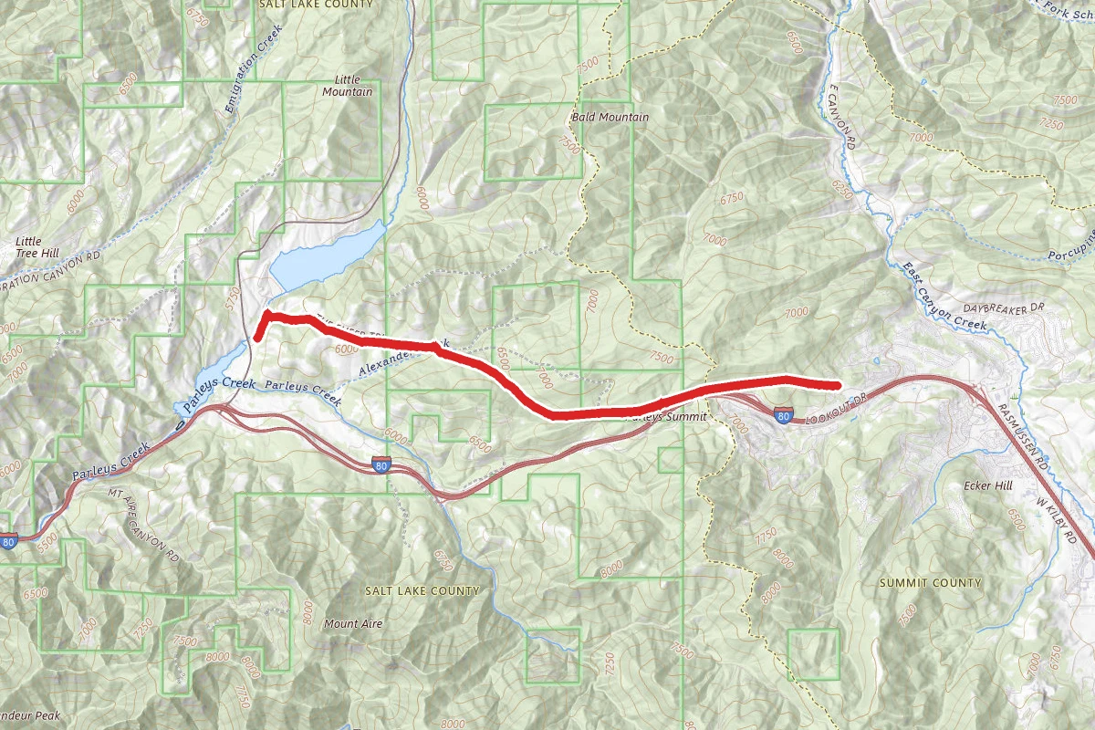 The Sheep Trail