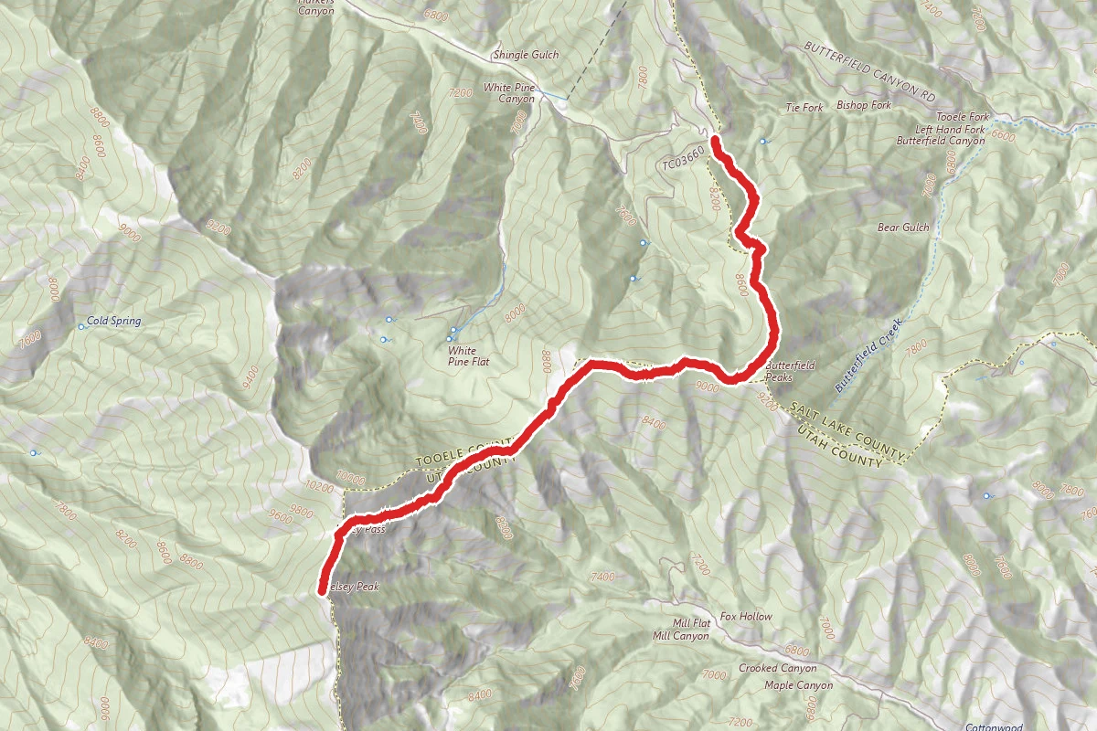 Butterfield Peak and Kelsey Saddle