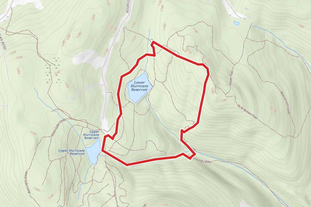 Moose Brook to W.B. Brown to Pine Drop to Simonds Way Loop