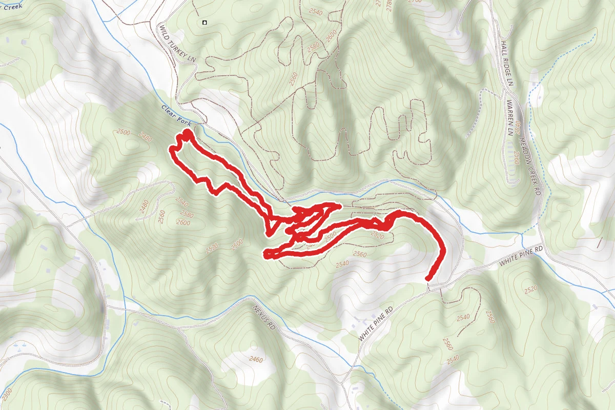 Matthews State Forest MTB Trail South