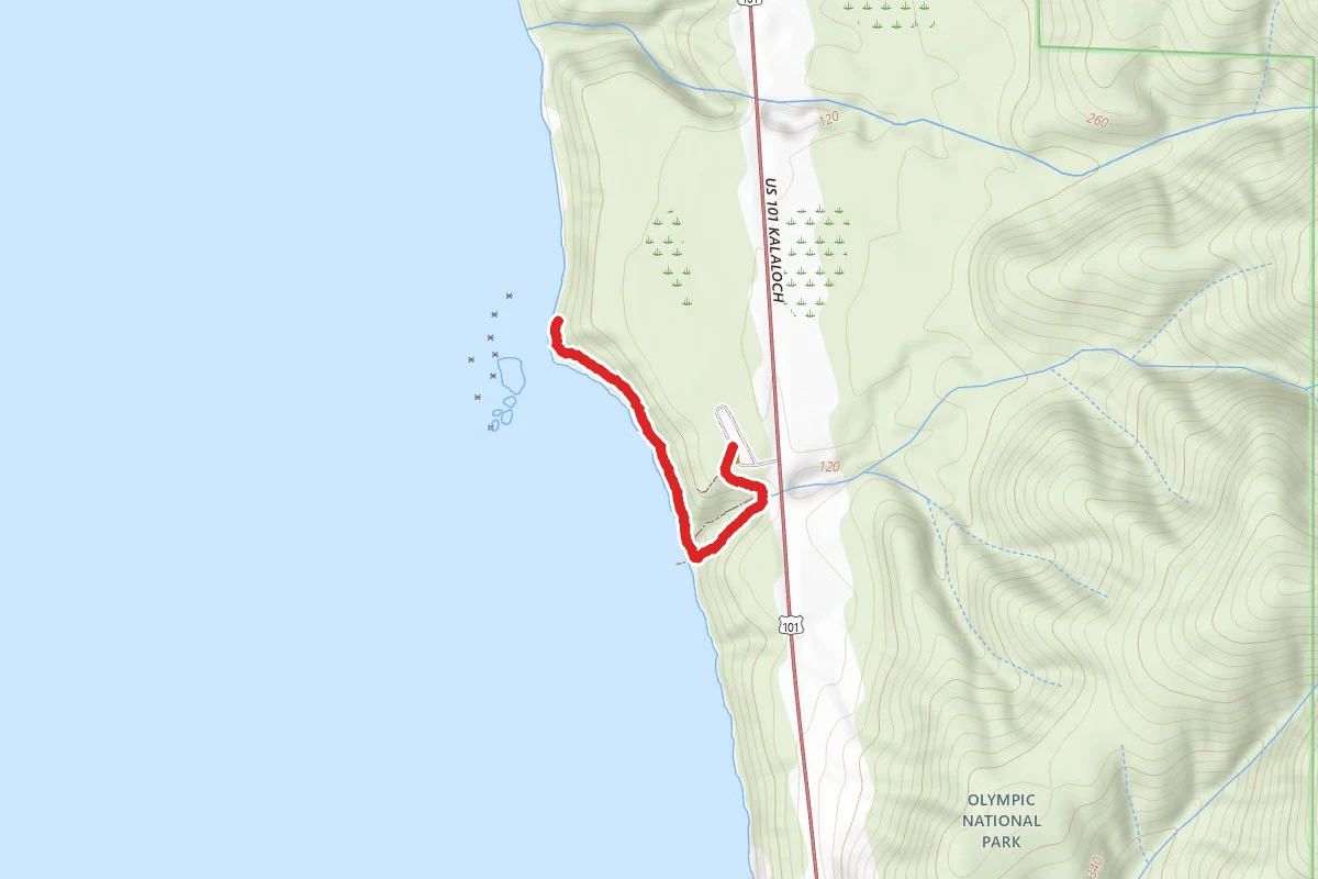 Kalaloch 4th Beach Trail