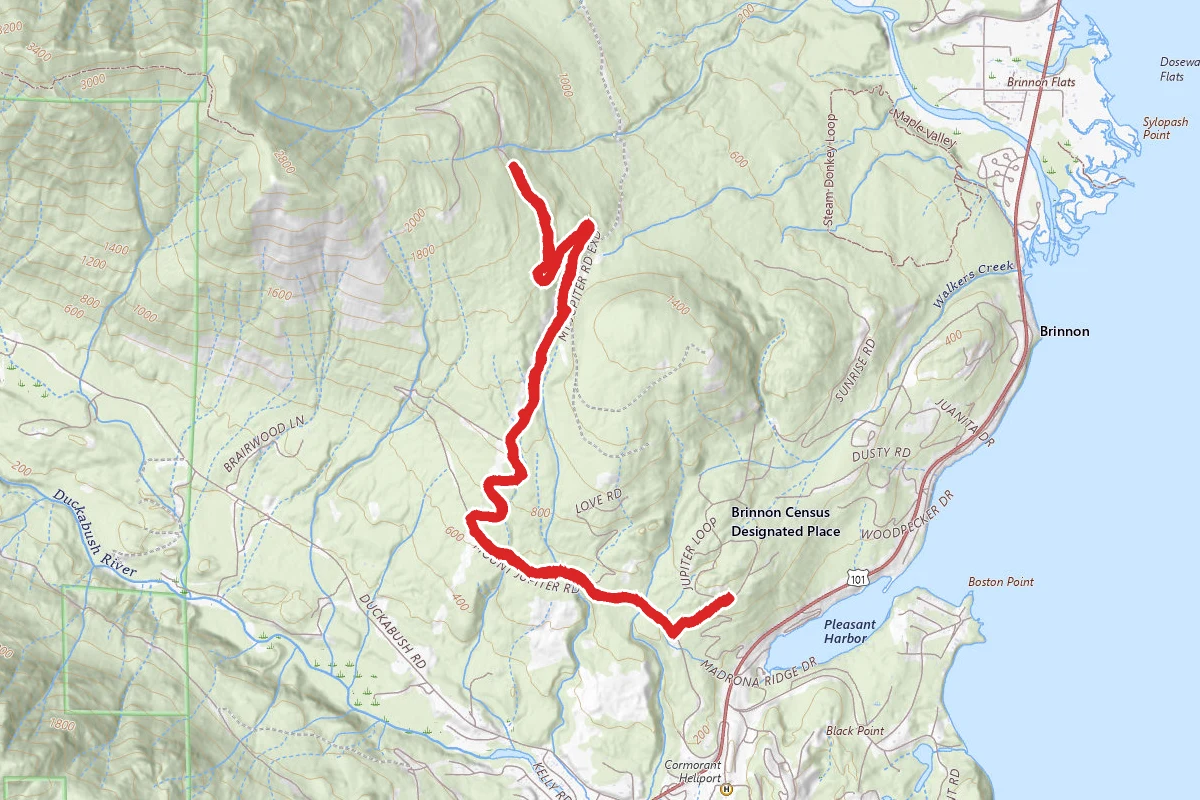 Mount Jupiter Logging Road