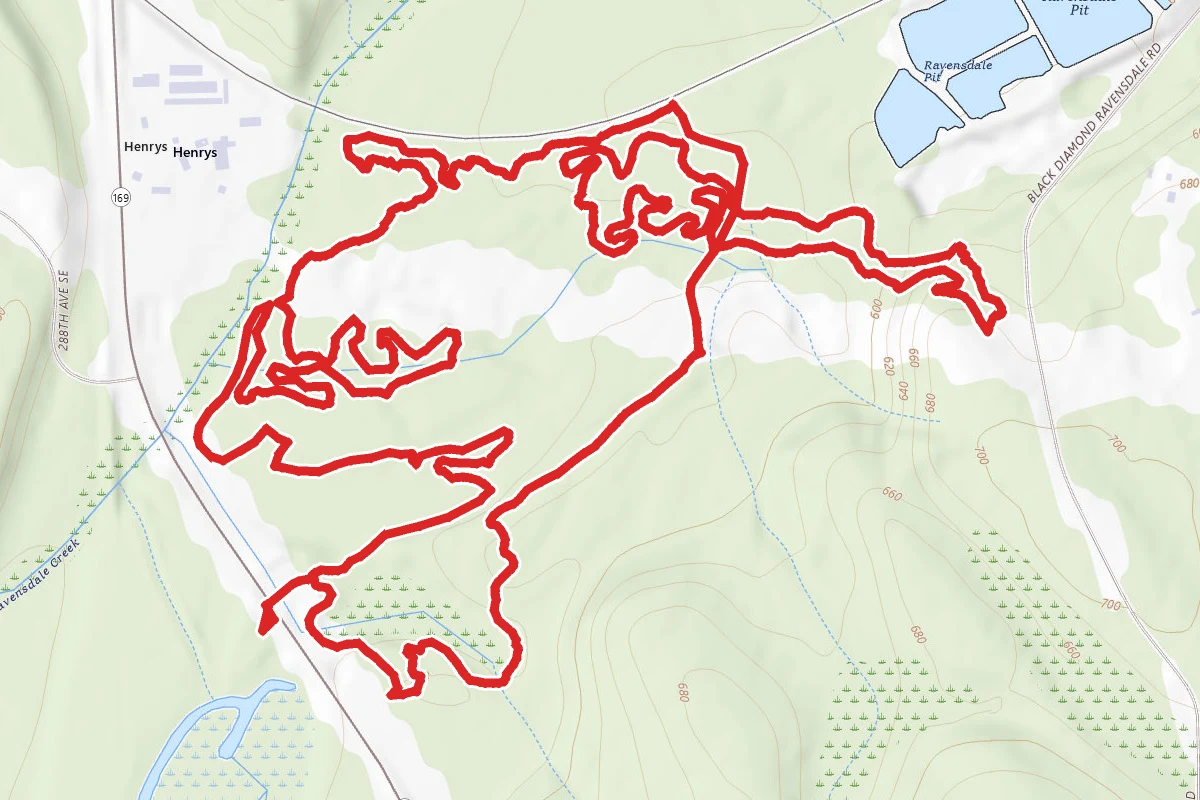 Griffins at Black Diamond Loop