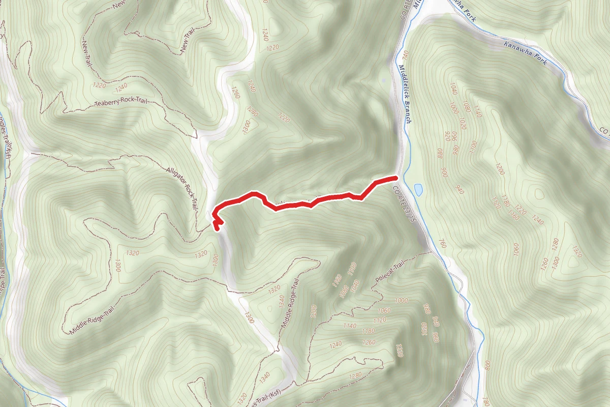 Lindy Trail