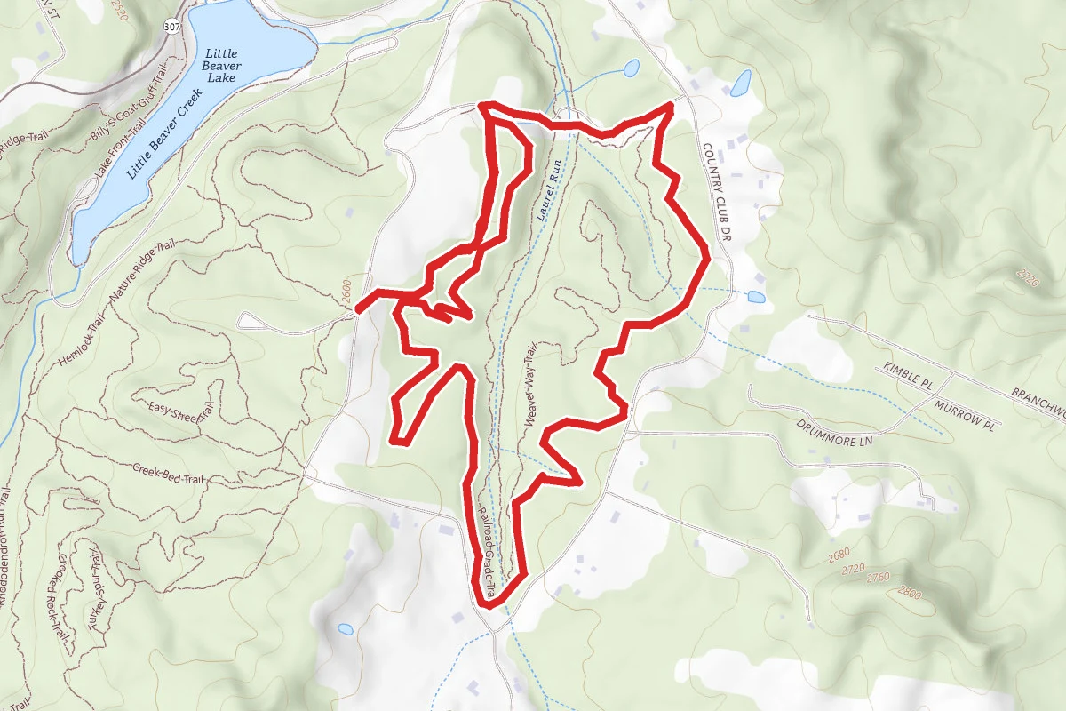 Deer Trail and Laurel Creek Loop