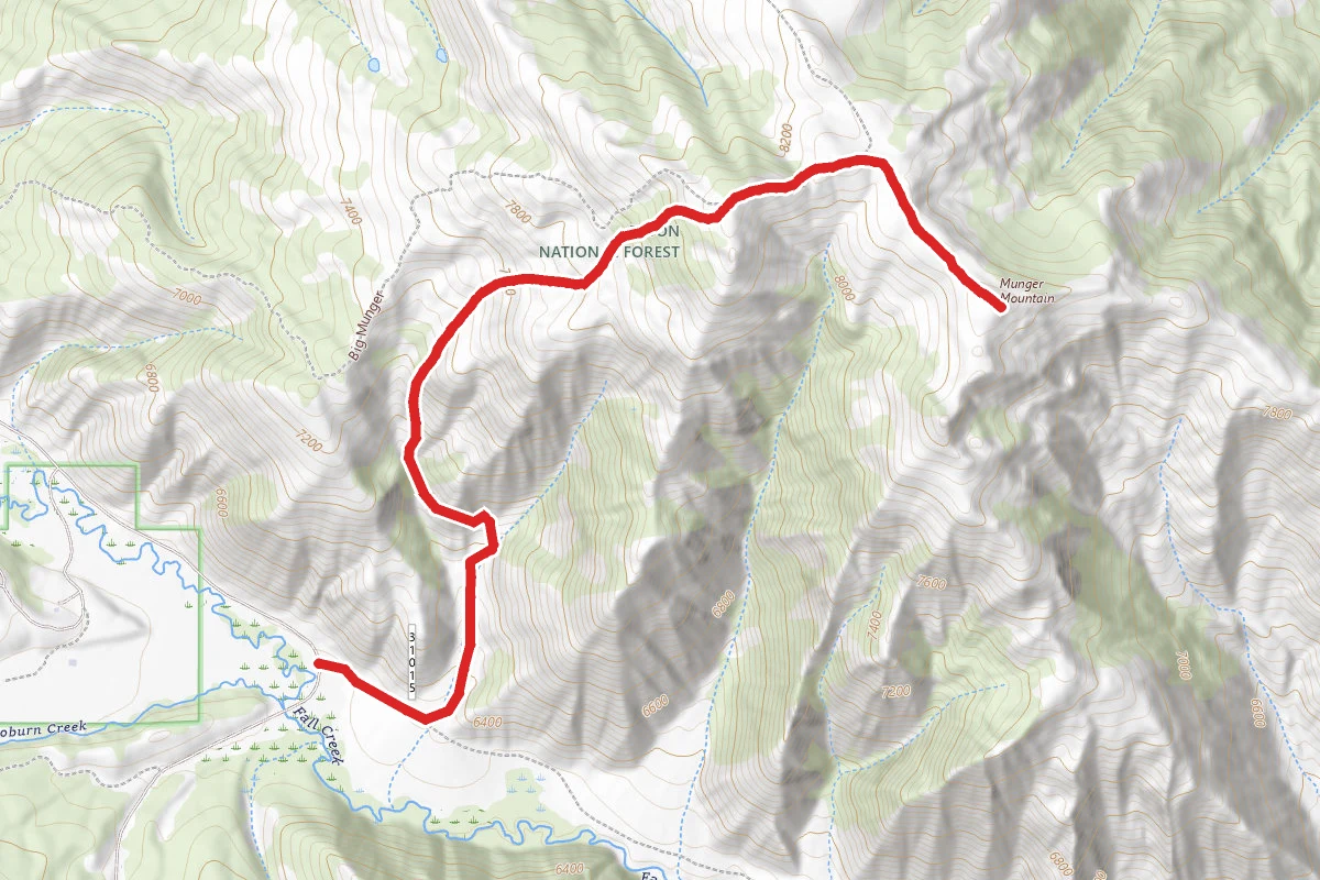 Munger Mountain Trail