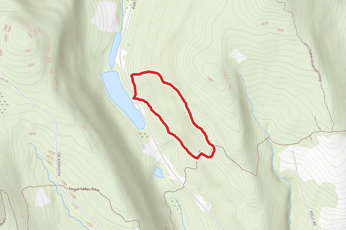 Lithuanian Loop Trail
