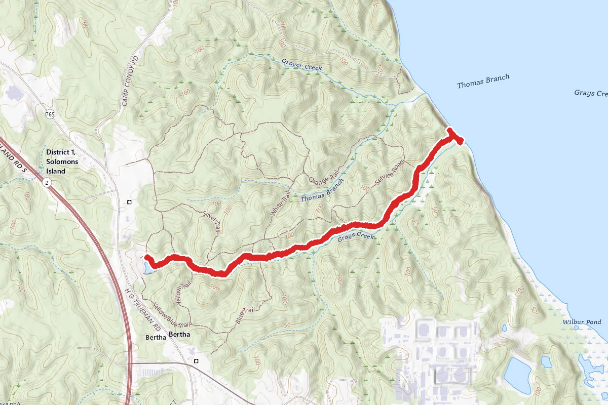 Calvert Cliffs Red Trail