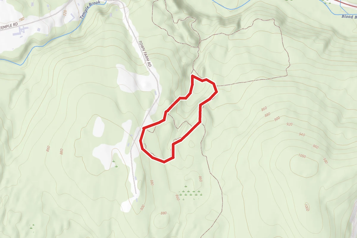 Helen's Trail to Swift Way