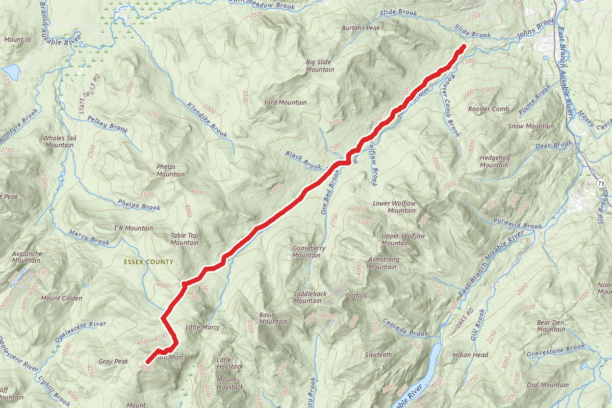 Mount Marcy via Hopkins trail