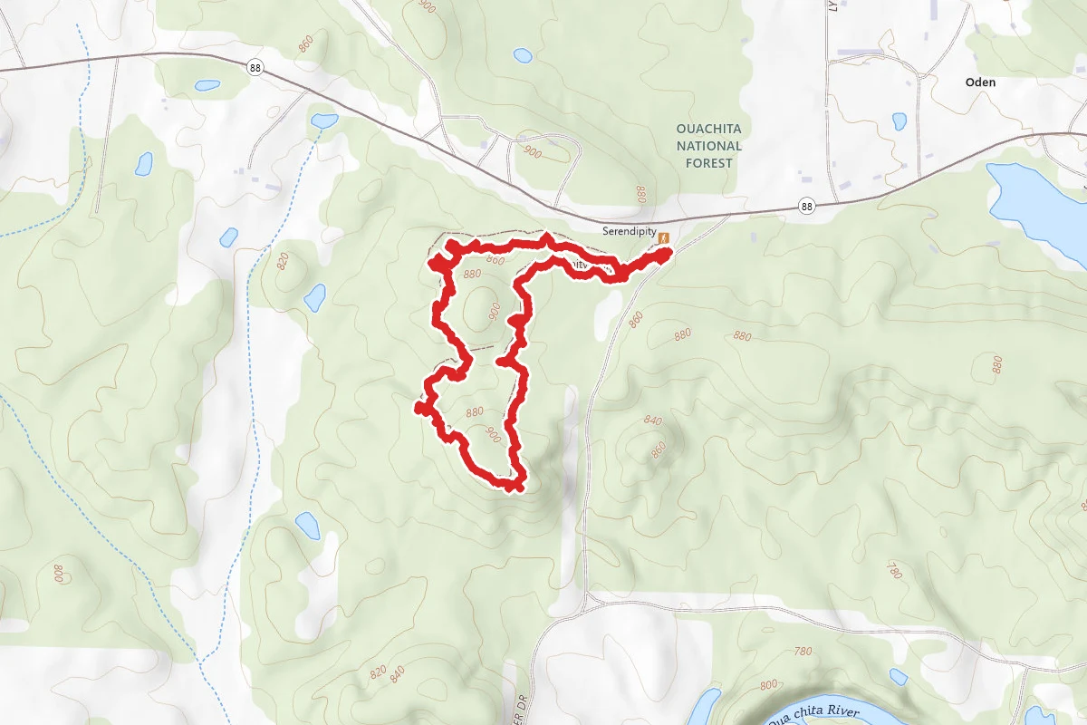 Serendipity Trail
