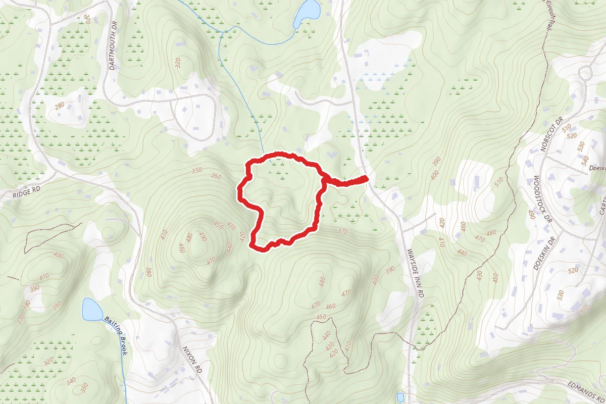 Wayside Forest Loop
