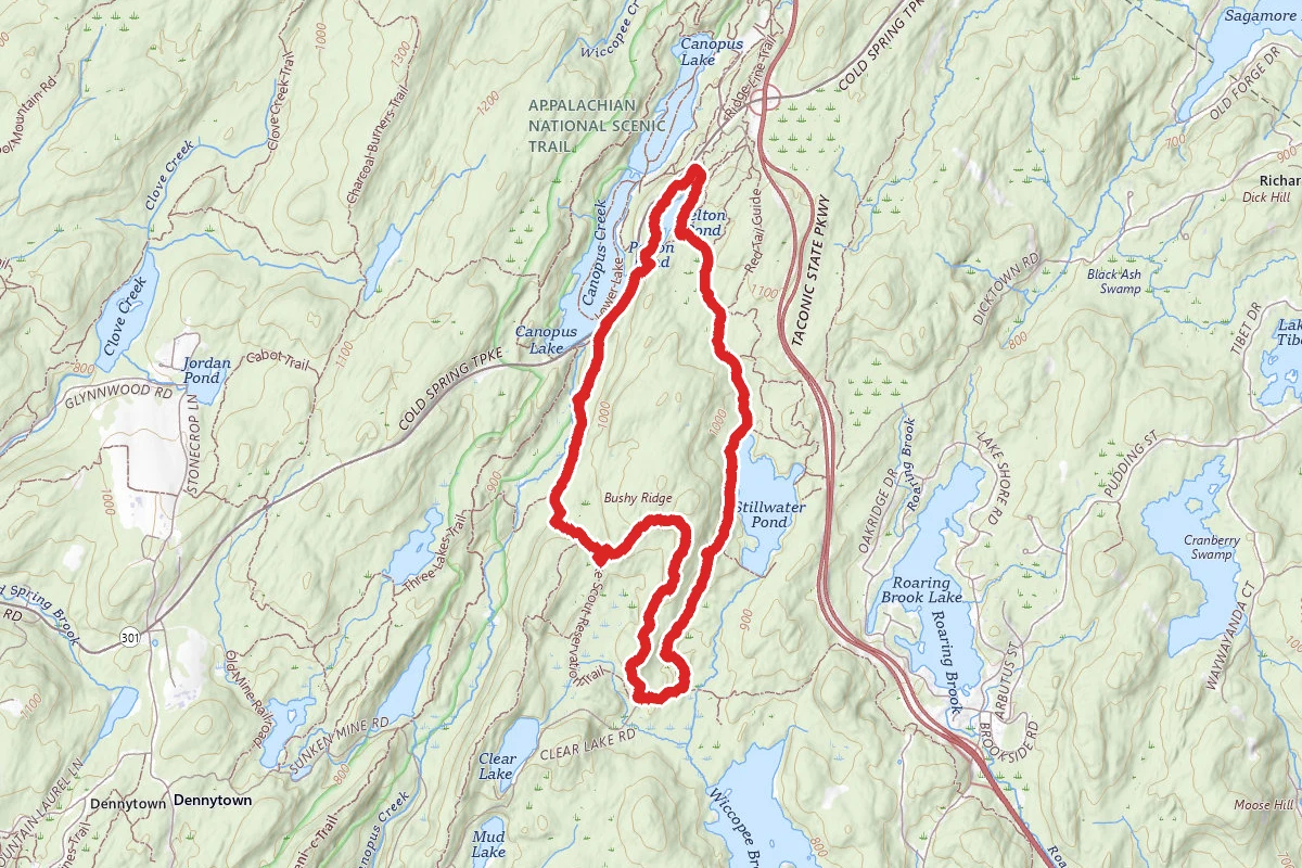 Pelton Pond, Stillwater Pond and Bushy Ridge Loop