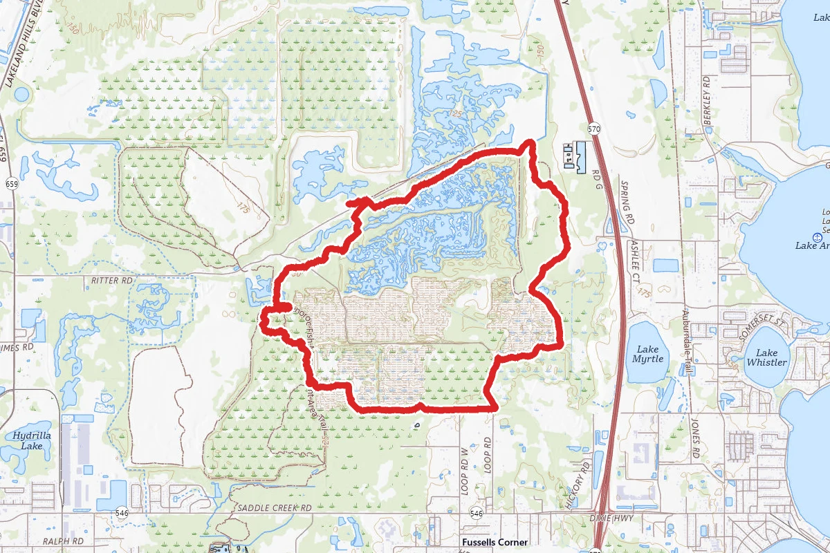 Tenoroc Yellow Trail