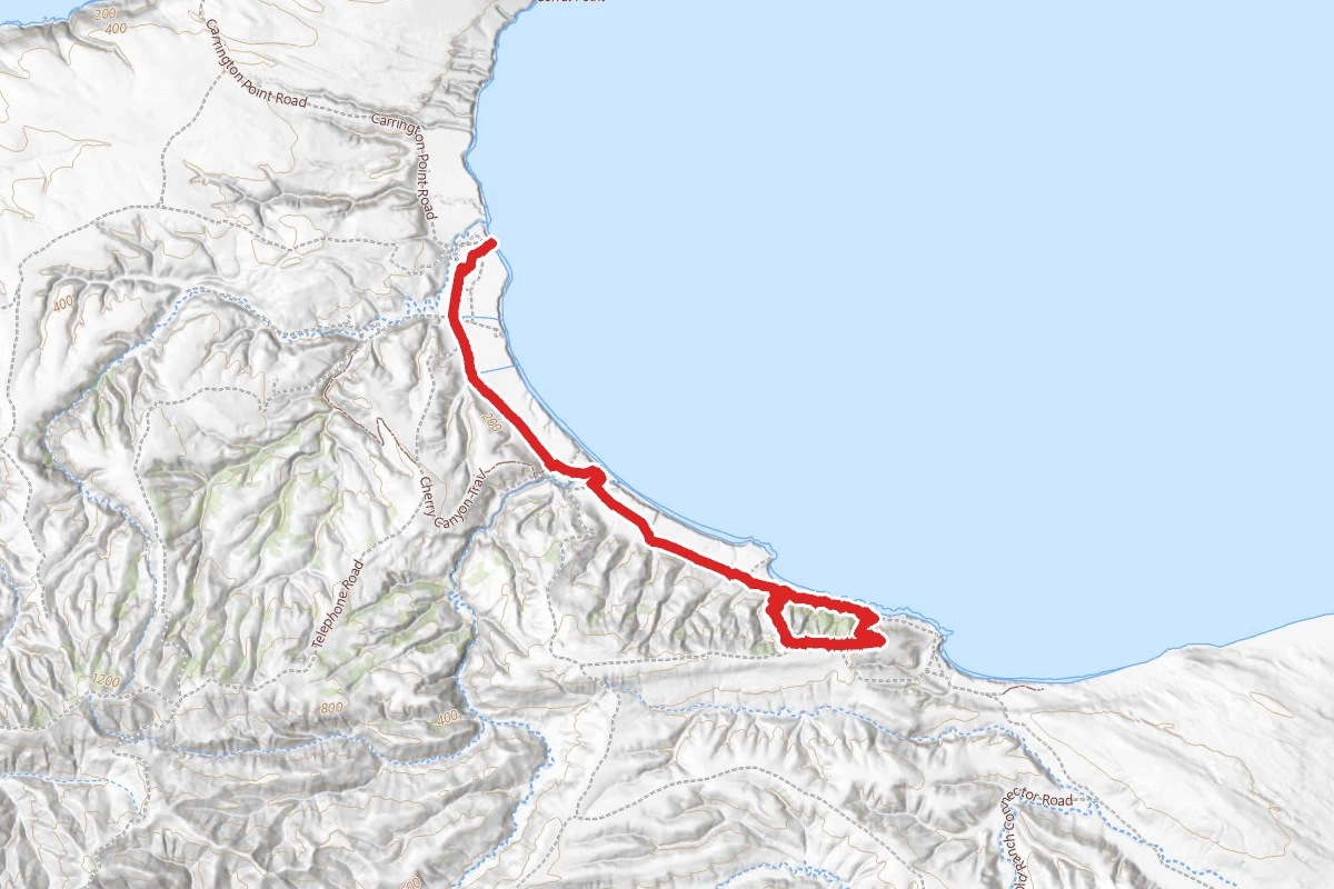 Pier to Torrey Pines