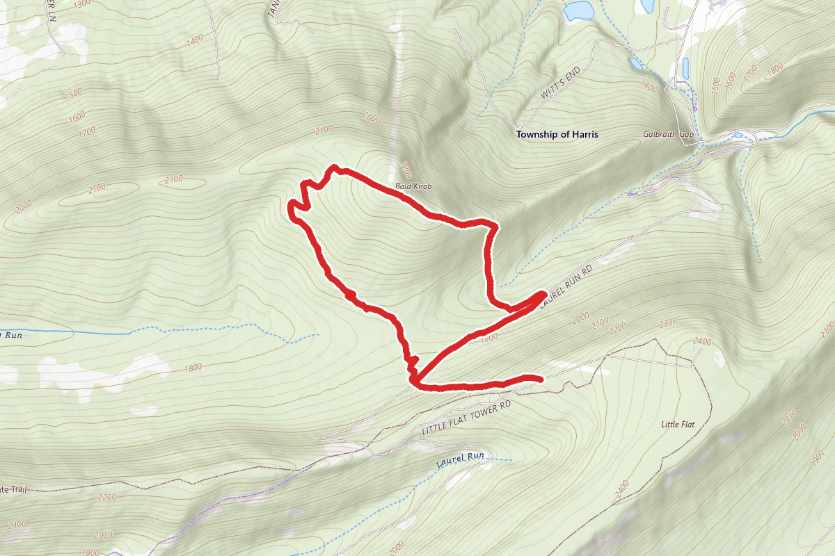 Bald Knob Vista Loop